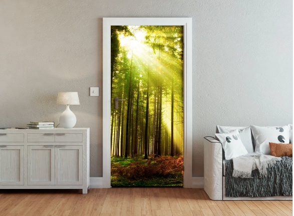 Door Wallpaper Murals | Wall Mural Shop