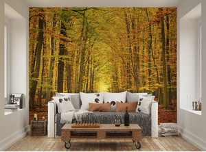 Autumn falls and leaves wall mural