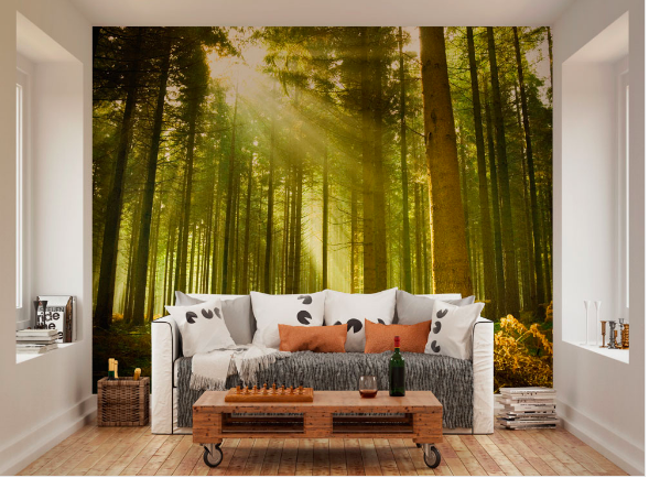 Sunrise shining through these gorgeous, tall trees makes a perfect forest scene on a sunny day in this Evergreen Wall Mural design.
