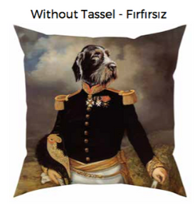 Mr Dog Cushion without tassel