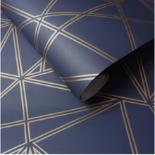 Rollshot of navy blue geometric lines with metallic