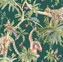If you looking for a bright tropical wallpaper australia we have the answer. Lazy leopards, cheeky orangutans and parrots make up this lush scene. 