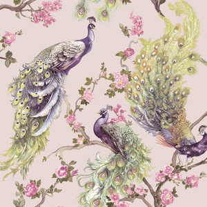 A soft pink wallpaper background with painted peackocks with their colourful feathers, and small little pink roses