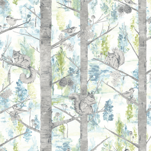 Birch Wallpaper with squirrels