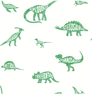 this green wallpaper is so fun and educational with the name of the dinosaurs written within their silhouette. White and green colours make for a great contrast.